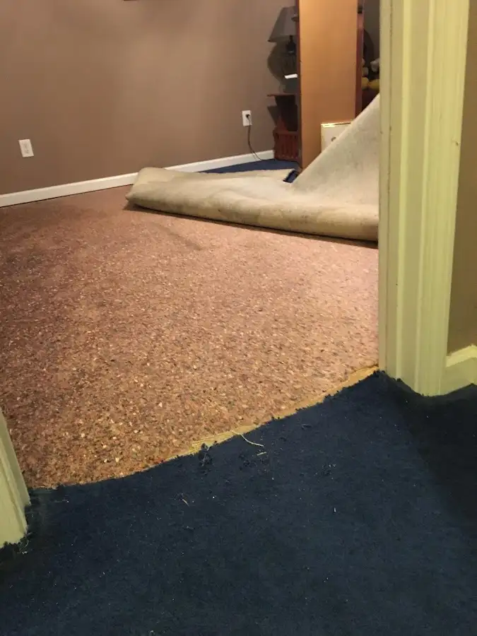 Carpet pad removal revealing water damage during Drying & Dehumidification in Allegan