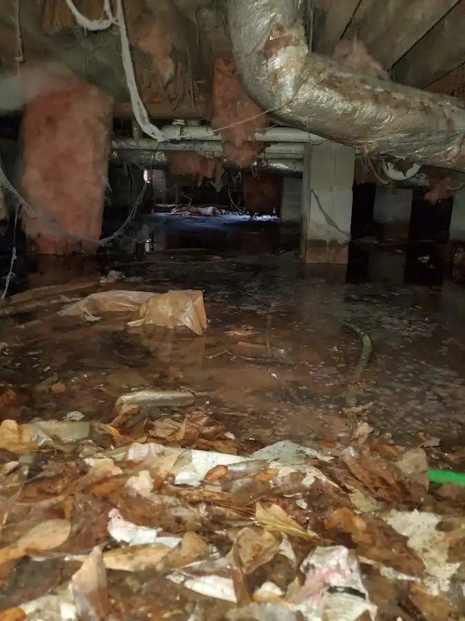 Crawl space flood assessment for Leak Detection & Repair in Allegan