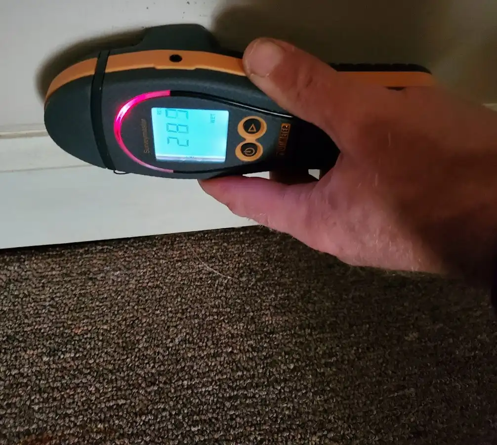 Moisture detection at baseboard during Burst Pipe Cleanup in Allegan